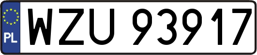 WZU93917