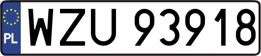 WZU93918