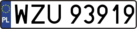 WZU93919