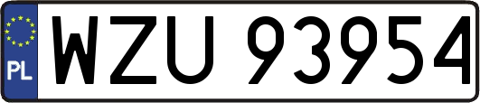 WZU93954