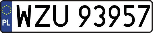 WZU93957