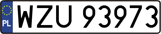 WZU93973