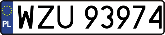 WZU93974