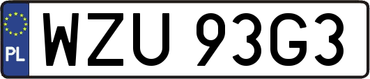 WZU93G3