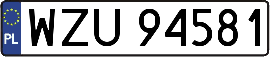 WZU94581