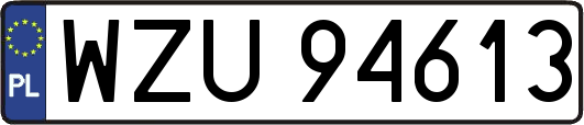 WZU94613