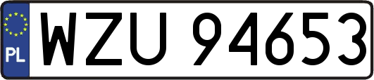 WZU94653