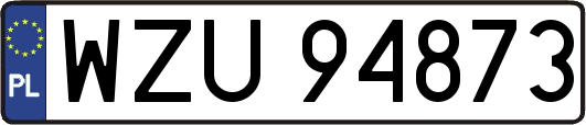 WZU94873