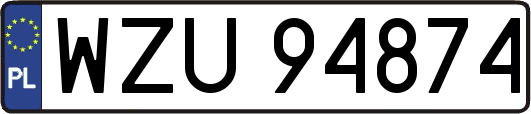 WZU94874