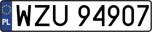 WZU94907