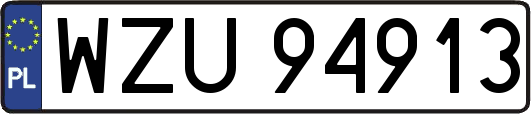 WZU94913