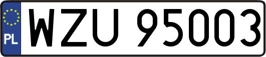 WZU95003