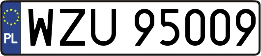 WZU95009