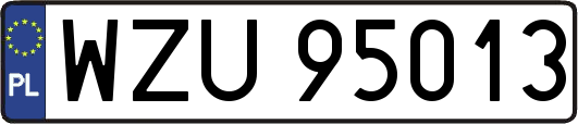 WZU95013