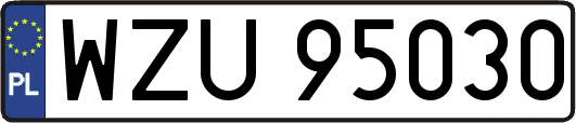 WZU95030