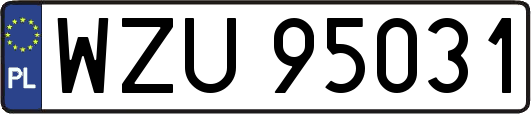 WZU95031
