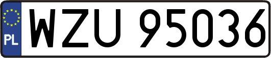 WZU95036