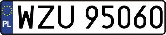 WZU95060