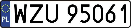 WZU95061