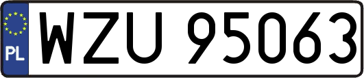 WZU95063