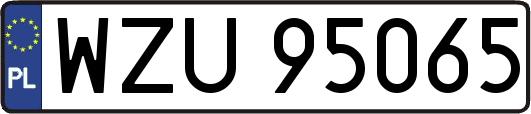 WZU95065