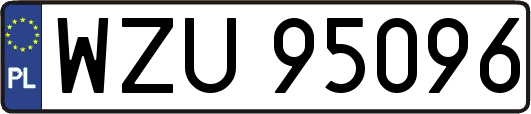WZU95096