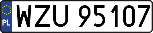 WZU95107