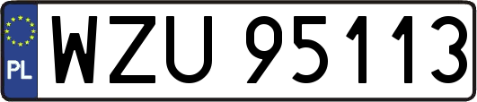 WZU95113