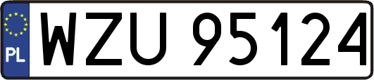 WZU95124