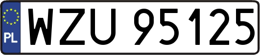 WZU95125