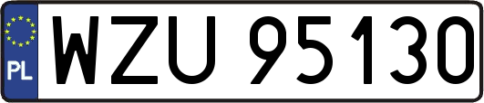 WZU95130
