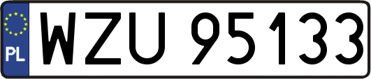 WZU95133