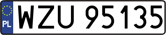 WZU95135