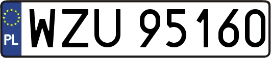 WZU95160