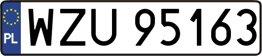 WZU95163