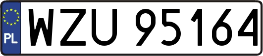 WZU95164