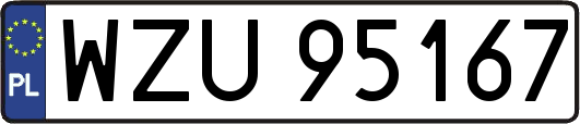WZU95167