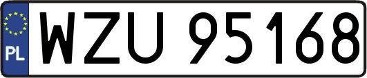 WZU95168