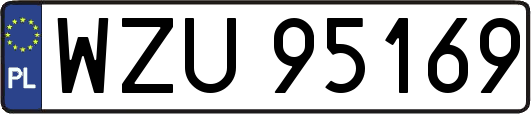 WZU95169