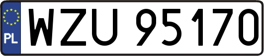 WZU95170