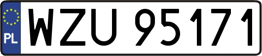 WZU95171