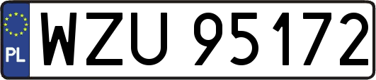 WZU95172