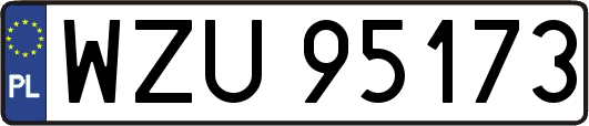 WZU95173
