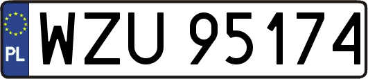 WZU95174