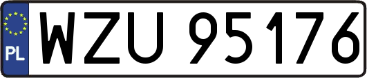 WZU95176