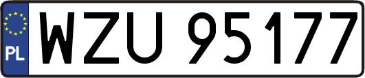 WZU95177