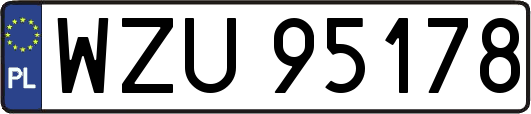WZU95178