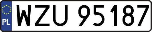 WZU95187