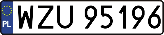 WZU95196