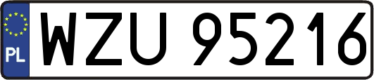 WZU95216